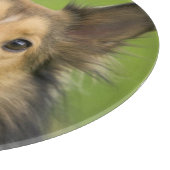 Planche À Découper Colley Rough, chien (Coin)