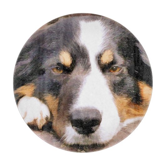 PLANCHE À DÉCOUPER COLLIE FRONTALIÈRE (Devant)