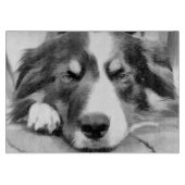 PLANCHE À DÉCOUPER COLLIE FRONTALIÈRE (Devant)