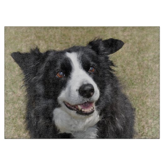 Planche À Découper Collier frontalier (Devant)