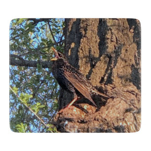 Planche À Découper Commission de coupe d'oiseaux