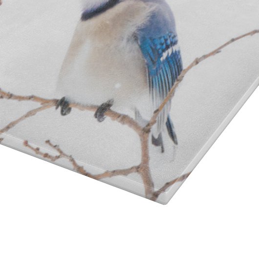 Planche À Découper Comté de Wichita, Texas. Blue Jay (Coin)