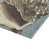 Planche À Découper Conque délavée Shell (Coin)