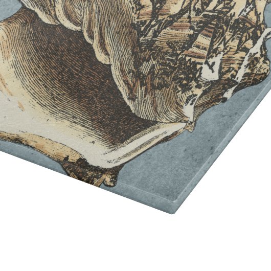 Planche À Découper Conque délavée Shell (Coin)