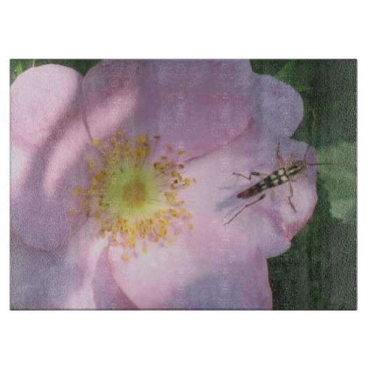 Planche À Découper Conseil de coupe Rose sauvage (Devant)