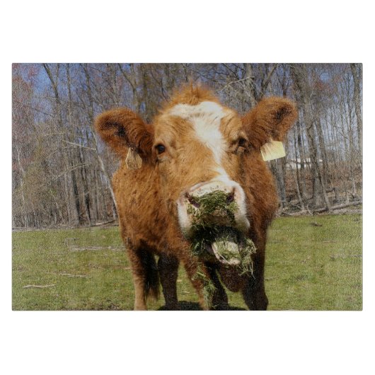 Planche À Découper Conseil de taille du verre de vache (Devant)