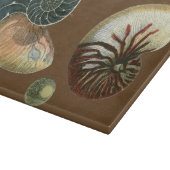 Planche À Découper Coque de cacao (Coin)