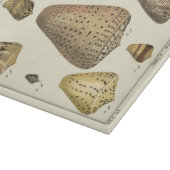 Planche À Découper Coques vintages (Coin)