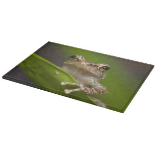 Planche À Découper Coqui commun, Eleutherodactylus coqui
