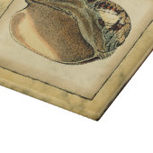 Planche À Découper Coquillage Vintage rustique (Coin)