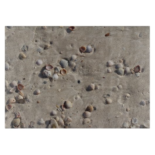 Planche À Découper Coquillages dans le sable humide (Devant)