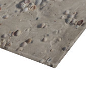 Planche À Découper Coquillages dans le sable humide (Coin)