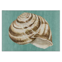 Coquille striée Sepia sur Turquoise