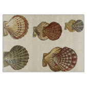 Planche À Découper Coquilles antiques craquelées (Devant)