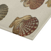 Planche À Découper Coquilles antiques craquelées (Coin)