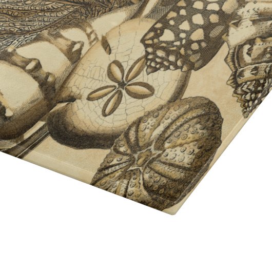 Planche À Découper Coquilles neutres et collection de corail (Coin)