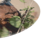Planche À Découper Coucal de Burchell (Coin)