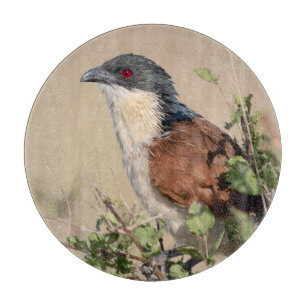 Planche À Découper Coucal de Burchell