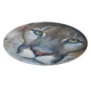 Planche À Découper Cougar, lion de montagne, panthère de Floride, Pum