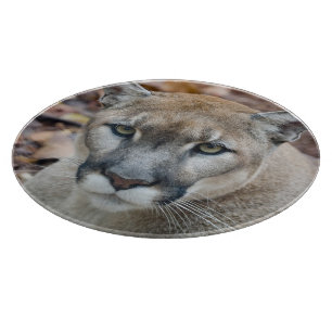 Planche À Découper Cougar, lion de montagne, panthère de Floride, Pum