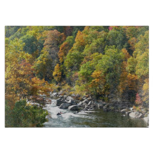 Planche À Découper Couleur d'automne dans le parc d'état d'Ohiopyle