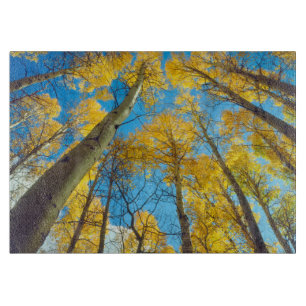 Planche À Découper Couleurs d'automne des arbres d'Aspen 2