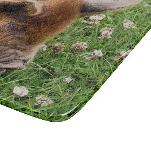 PLANCHE À DÉCOUPER COUPER (Coin)