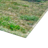 Planche À Découper Courir Pinto Peinture Gelding & Stallions châtaign (Coin)