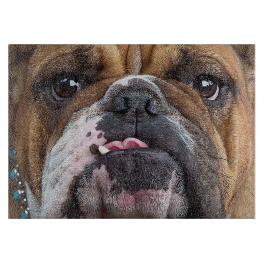 Planche À Découper Coussin de jet de Bouledogue Anglais (Devant)