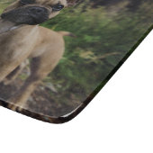 Planche À Découper Coussin de lancer Bouledogue Français (Coin)