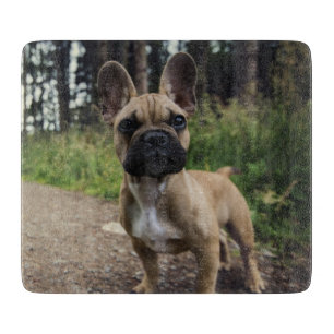 Planche À Découper Coussin de lancer Bouledogue Français