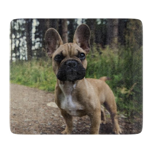 Planche À Découper Coussin de lancer Bouledogue Français (Devant)