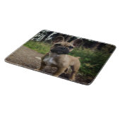 Planche À Découper Coussin de lancer Bouledogue Français (Coin)