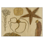 Planche À Découper Créatures sous-marines de mer (Devant)