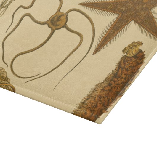 Planche À Découper Créatures sous-marines de mer (Coin)