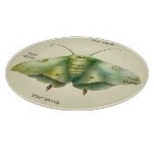 Planche À Découper Créez votre propre papillon Imaginaire vert (Coin)