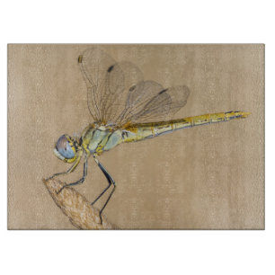 Planche À Découper Crème de dragonfly Femme (CC BY 4.0)