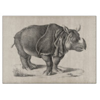 Croquis Brodtmann Rhinoceros