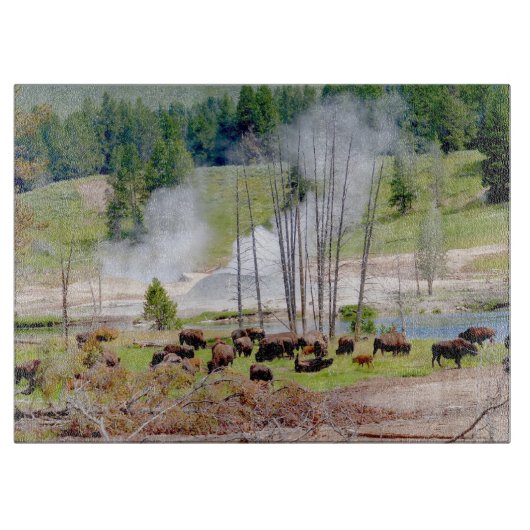 Planche À Découper Cuisine en verre - Bison de Yellowstone (Devant)
