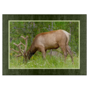 Planche À Découper Cuisine en verre - Elk de Yellowstone