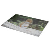 Planche à découper curieuse d'écureuil rouge (Coin)