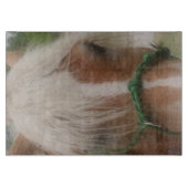 Planche À Découper Cute Haflinger Cheval Visage Animal (Devant)