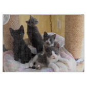 Planche À Découper Cute Kittens Coupe (Devant)