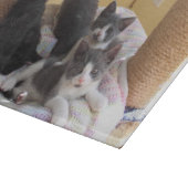 Planche À Découper Cute Kittens Coupe (Coin)