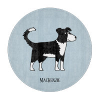 Cute Welsh Border Collie Chien