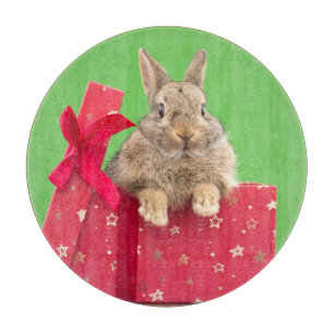Planche À Découper Cutest Baby Animals Christmas Holiday Bunny