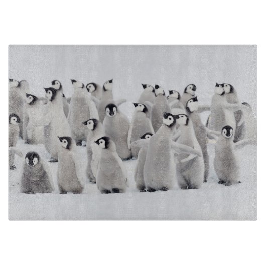 Planche À Découper Cutest Baby Animals | Emperor Penguin Chicks (Devant)