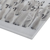 Planche À Découper Cutest Baby Animals | Emperor Penguin Chicks (Coin)