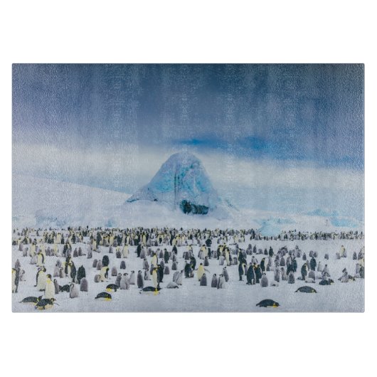 Planche À Découper Cutest Baby Animals | Emperor Penguin Colony (Devant)