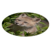 Planche À Découper Cutest Baby Animals | Fox Kit (Coin)